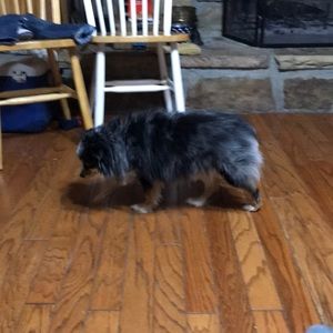 Meet your Posher, Marc